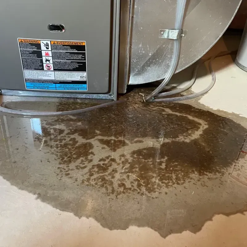 Appliance Leak Cleanup in Severna Park, MD